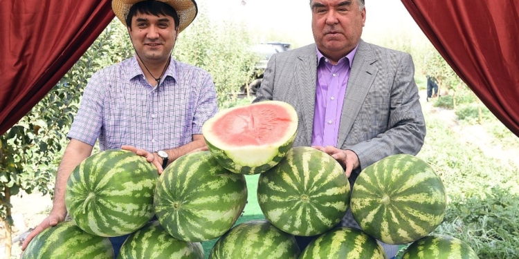 Президент в Дангаре