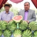 Президент в Дангаре
