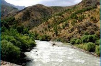 С начала года в реках и водоемах Таджикистана утонули 12 детей