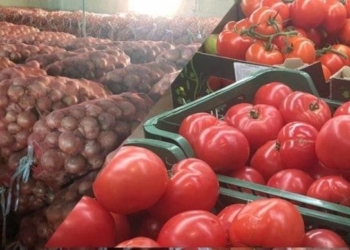 Таджикистан экспортировал более 103,6 тыс. тонн  сельхозпродукции