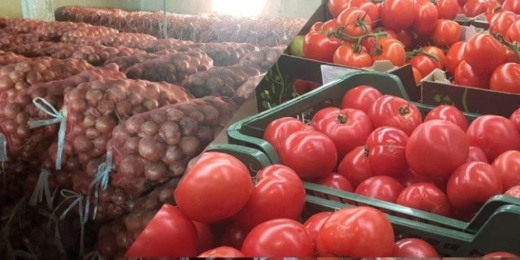 Таджикистан экспортировал более 103,6 тыс. тонн  сельхозпродукции