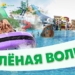 МегаФон Таджикистан помог посетителям «Кули Душанбе» поймать «зеленую волну»
