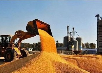 В Китае достаточно запасов продовольствия