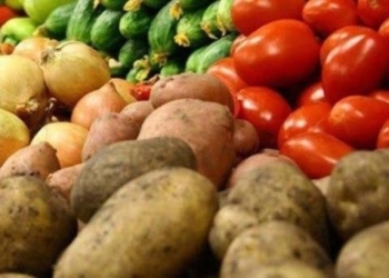 Объем производства сельхозпродукции в Таджикистане составил свыше $1,6 млрд.