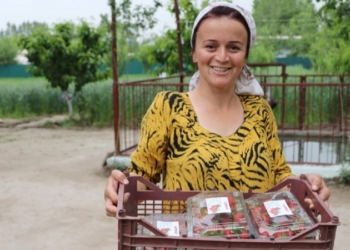 USAID запускает программу по продовольственной безопасности в Таджикистане на сумму $36 млн.