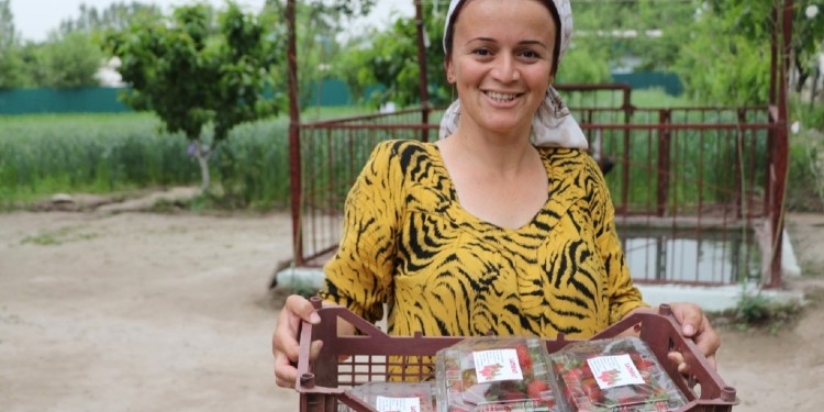 USAID запускает программу по продовольственной безопасности в Таджикистане на сумму $36 млн.