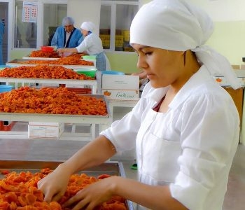 Страны ЦА обсудили сотрудничество в продвижении систем пищевой безопасности