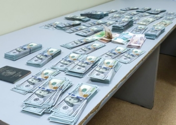 Таджикистанец с $125 тыс. задержан в аэропорту Домодедово