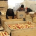 Хатлонская область экспортировала за рубеж свыше 100 тыс. тонн сельхозпродукции