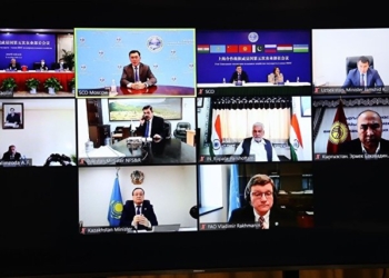 Главы Минсельхозов стран ШОС обсудили влияние пандемии коронавируса на сельское хозяйство