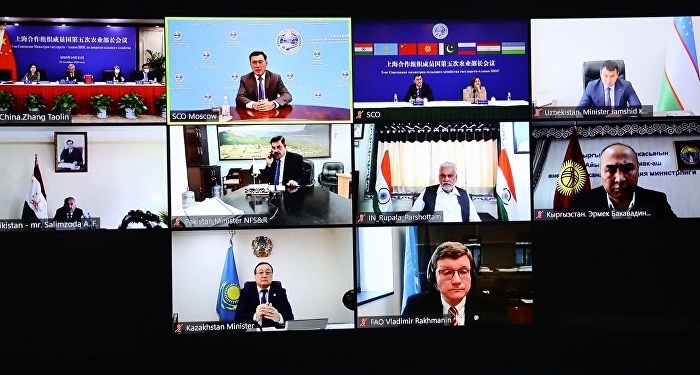 Главы Минсельхозов стран ШОС обсудили влияние пандемии коронавируса на сельское хозяйство