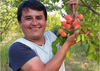 USAID намерен ознакомить мир с таджикскими экспортерами плодоовощной продукции