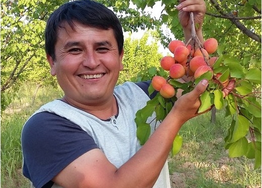 USAID намерен ознакомить мир с таджикскими экспортерами плодоовощной продукции