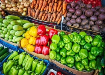 Таджикистан экспортировал свыше 120 тыс. тонн сельхозпродукции
