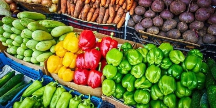 Таджикистан экспортировал свыше 120 тыс. тонн сельхозпродукции