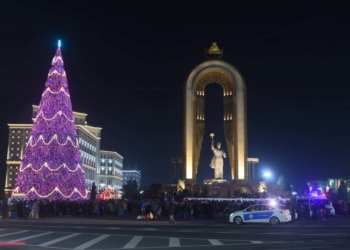 Новогодней елки в Душанбе в этом году не будет