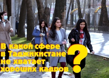Настоящих кадров не хватает во всех сферах, а тех, кто есть, не ценят (видео)