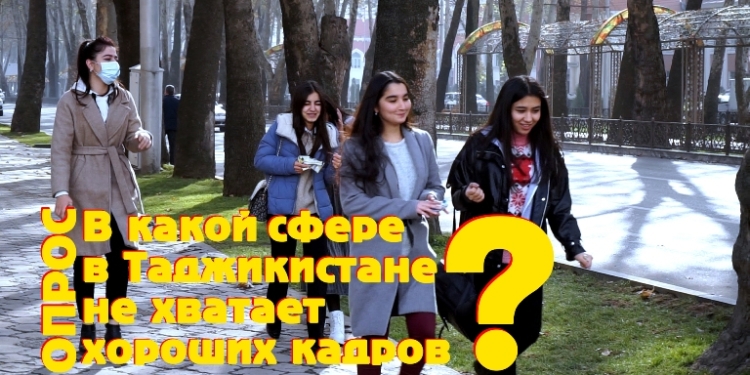 Настоящих кадров не хватает во всех сферах, а тех, кто есть, не ценят (видео)