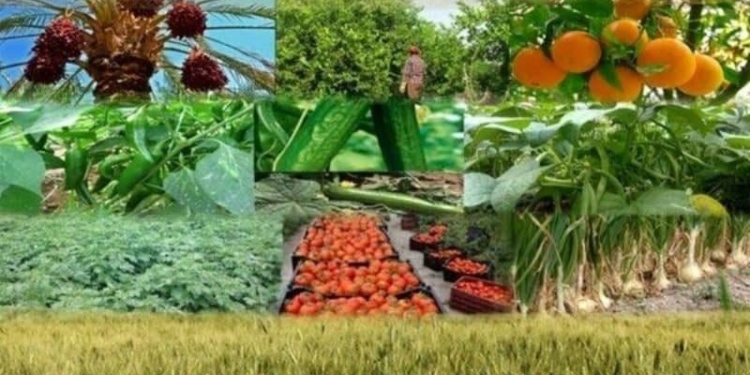 Объем производства продукции сельского хозяйства в Таджикистане составил свыше $2,4 млрд.