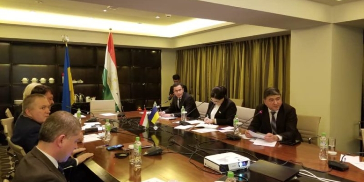 Таджикско-украинский Деловой совет обсудил перспективные направления сотрудничества