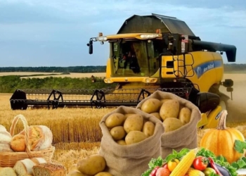 Рост производства сельхозпродукции в Таджикистане составил 8,5%