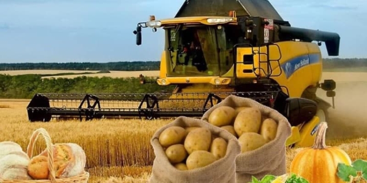 Рост производства сельхозпродукции в Таджикистане составил 8,5%