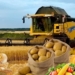 Рост производства сельхозпродукции в Таджикистане составил 8,5%