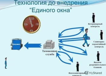 В системе «Единое окно» в Таджикистане зарегистрировано более 1,1 тыс. пользователей