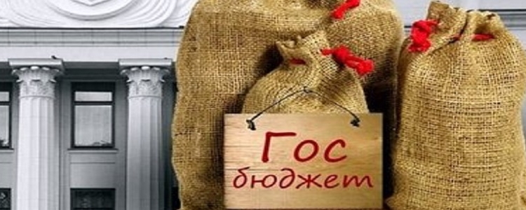 Как в Таджикистане в период пандемии поддерживают госбюджет