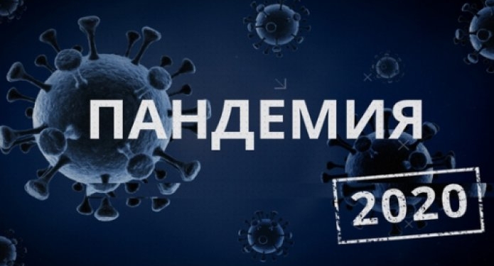 2020 год – Год, прошедший под знаком «Короны»