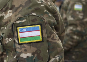 В Узбекистане будут созданы отряды содействия погранвойскам