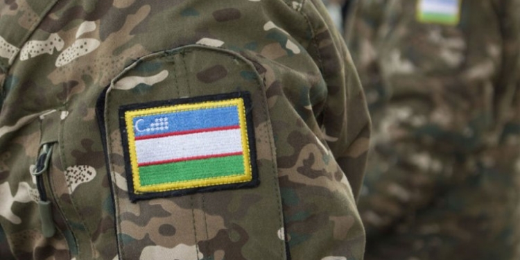 В Узбекистане будут созданы отряды содействия погранвойскам