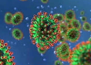Без коронавируса: новых случаев инфицирования COVID-19 в Таджикистане не выявлено