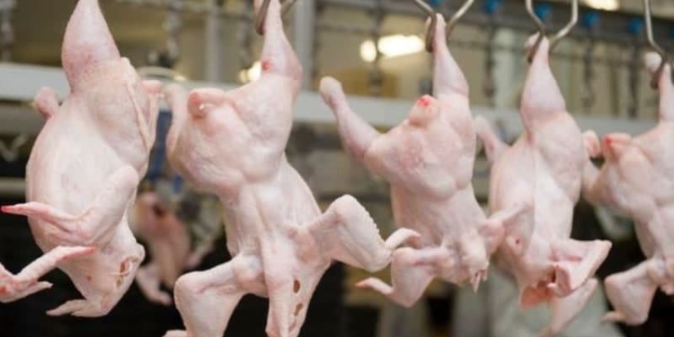 Производство мяса и яиц в Таджикистане растет, как и цены на эту продукцию