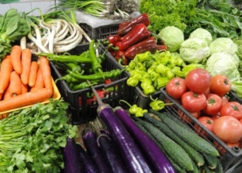 Объем производства сельхозпродукции в Таджикистане составил свыше $2,9 млрд.