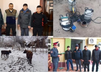 В Джайхуне задержаны серийные воры, которые обкрадывали своих соседей