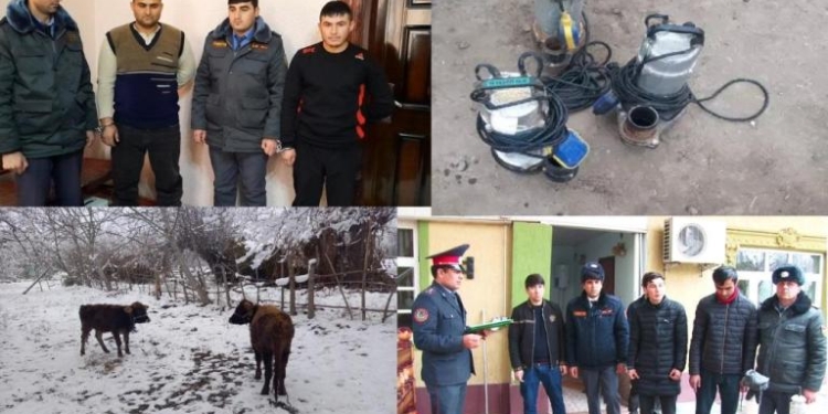 В Джайхуне задержаны серийные воры, которые обкрадывали своих соседей