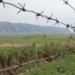 СМИ: В отношении кыргызстанцев, задержанных в Таджикистане, проводятся следственные мероприятия