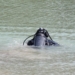 107 человек утонули в реках и водоемах Таджикистана в 2020 году