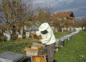 В Таджикистане усиливают систему контроля пищевых продуктов