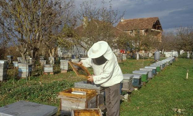 В Таджикистане усиливают систему контроля пищевых продуктов