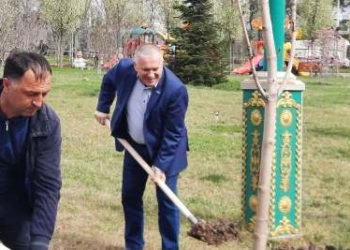 Посольство Украины провело акцию по посадке деревьев в Душанбе