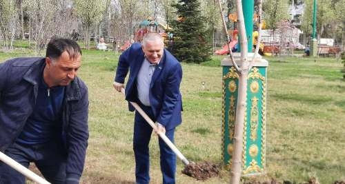 Посольство Украины провело акцию по посадке деревьев в Душанбе