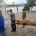 В Худжанде 15-летняя девочка бросилась в реку. Её удалось спасти