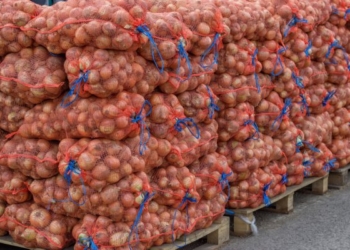 Из севера на юг Таджикистана на продажу отправят 180 тонн лука