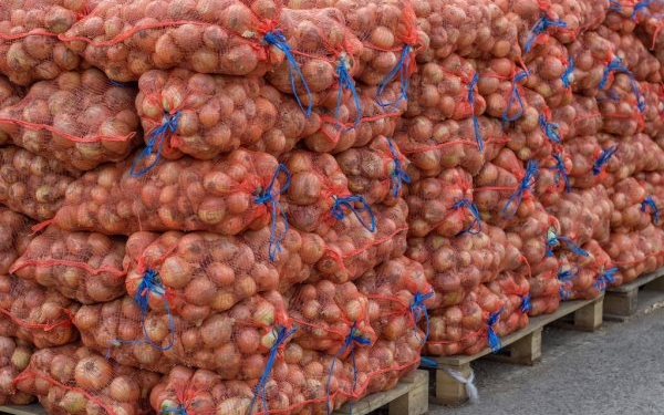 Из севера на юг Таджикистана на продажу отправят 180 тонн лука