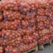 Из севера на юг Таджикистана на продажу отправят 180 тонн лука