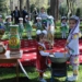 Парк имени Ахмада Дониша признан лучшим парком Душанбе