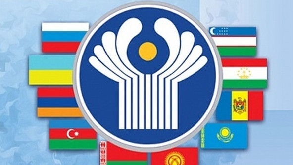 Главы парламентов стран СНГ соберутся 15 апреля в Санкт-Петербурге — впервые после объявления пандемии