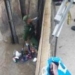 Жительница Варзоба утонула в Деривационном канале в Душанбе